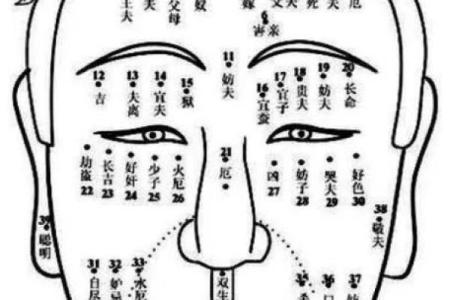 鼻翼下痣，揭秘你的财运与福缘