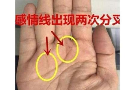 揭秘手相中的努力纹：长手相预示着惊人潜力，快来测测你的未来吧