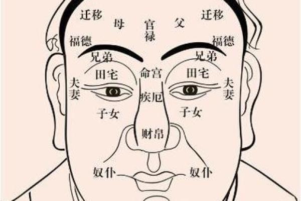祖坟风水与面相：揭秘命运密码的神秘之门
