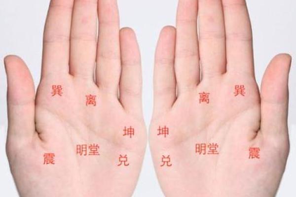 揭秘：女人手相看哪只手最准，错过就亏大了