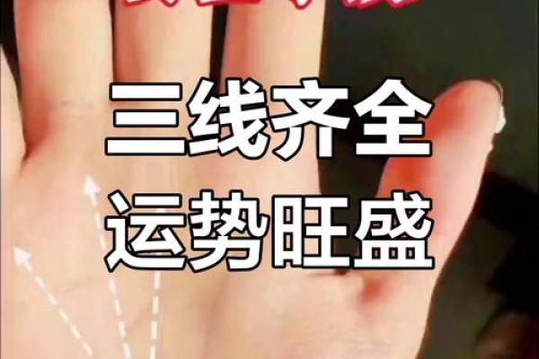揭秘：女人手相看哪只手最准，错过就亏大了