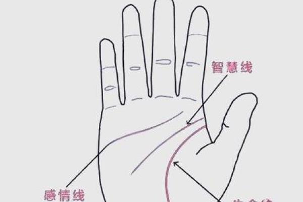手相揭秘：感情线居中，揭秘你的情感命运
