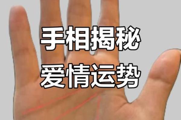 手相揭秘：感情线居中，揭秘你的情感命运