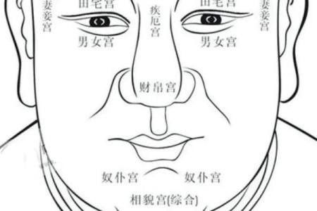 祖坟风水与面相：揭秘命运密码的神秘之门