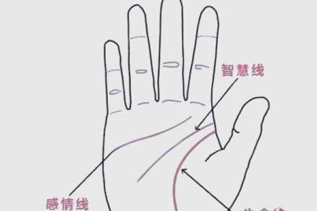 手相揭秘：感情线居中，揭秘你的情感命运