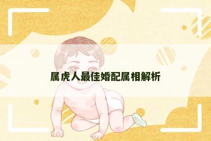 属虎人最佳婚配属相解析