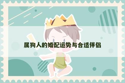 属狗人的婚配运势与合适伴侣
