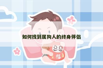 如何找到属狗人的终身伴侣