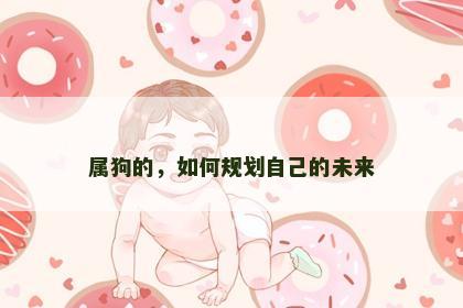 属狗的，如何规划自己的未来