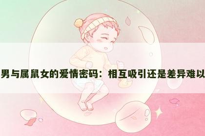 属龙男与属鼠女的爱情密码：相互吸引还是差异难以调和
