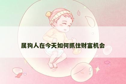 属狗人在今天如何抓住财富机会
