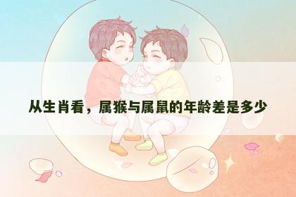 从生肖看，属猴与属鼠的年龄差是多少