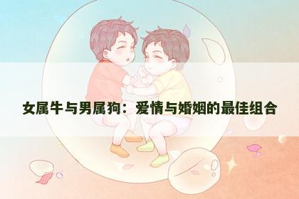 女属牛与男属狗：爱情与婚姻的最佳组合