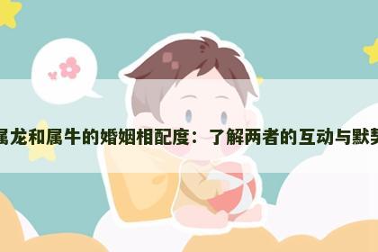 属龙和属牛的婚姻相配度：了解两者的互动与默契