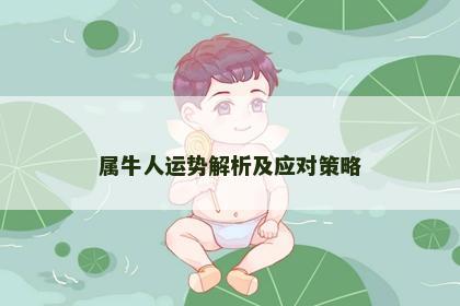 属牛人运势解析及应对策略