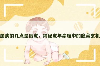 属虎的几点是饿虎，揭秘虎年命理中的隐藏玄机