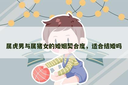 属虎男与属猪女的婚姻契合度，适合结婚吗