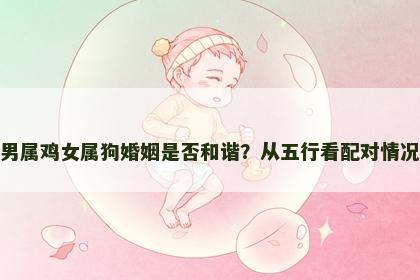 男属鸡女属狗婚姻是否和谐？从五行看配对情况