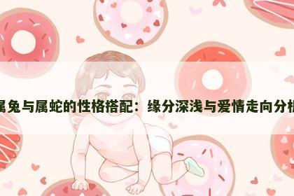 属兔与属蛇的性格搭配：缘分深浅与爱情走向分析