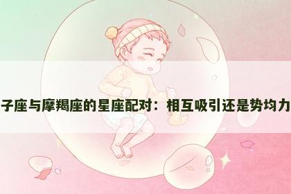 双子座与摩羯座的星座配对：相互吸引还是势均力敌