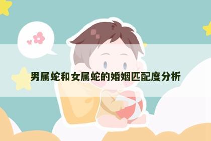 男属蛇和女属蛇的婚姻匹配度分析