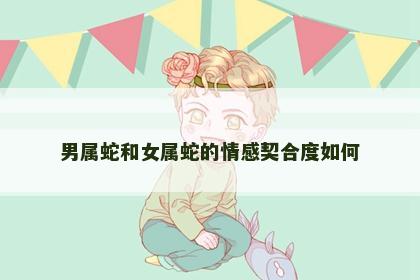男属蛇和女属蛇的情感契合度如何