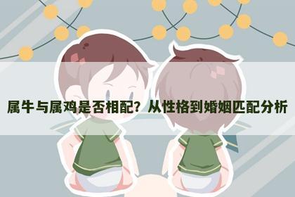 属牛与属鸡是否相配？从性格到婚姻匹配分析