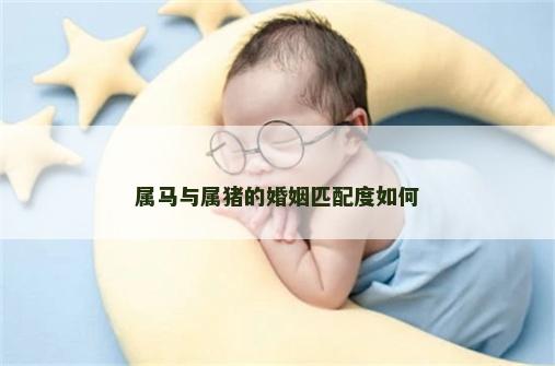 属马与属猪的婚姻匹配度如何