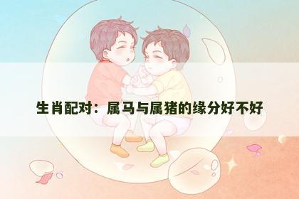 生肖配对：属马与属猪的缘分好不好
