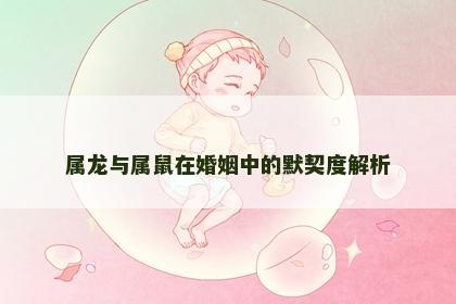属龙与属鼠在婚姻中的默契度解析