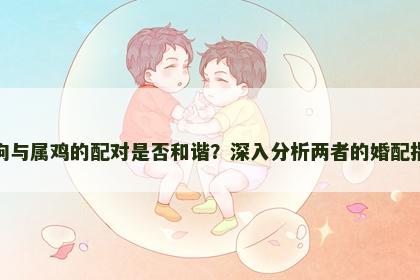 属狗与属鸡的配对是否和谐？深入分析两者的婚配指数