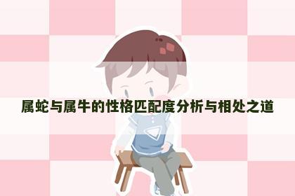 属蛇与属牛的性格匹配度分析与相处之道