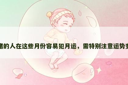 属猪的人在这些月份容易犯月运，需特别注意运势变化