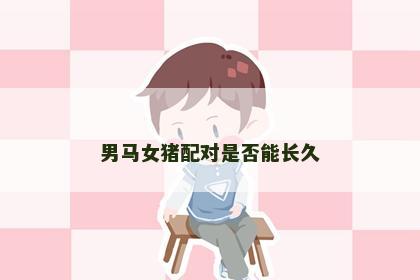 男马女猪配对是否能长久