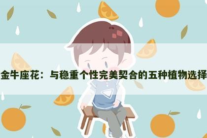 金牛座花：与稳重个性完美契合的五种植物选择
