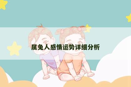 属兔人感情运势详细分析