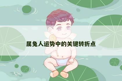 属兔人运势中的关键转折点