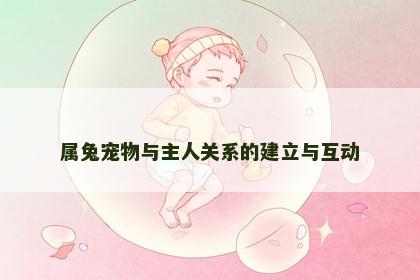 属兔宠物与主人关系的建立与互动