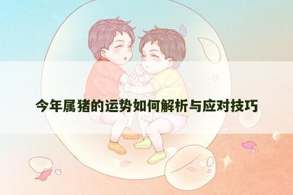 今年属猪的运势如何解析与应对技巧