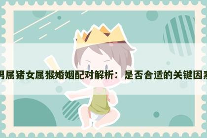 男属猪女属猴婚姻配对解析：是否合适的关键因素