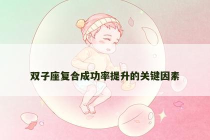 双子座复合成功率提升的关键因素