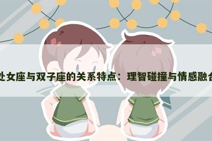 处女座与双子座的关系特点：理智碰撞与情感融合
