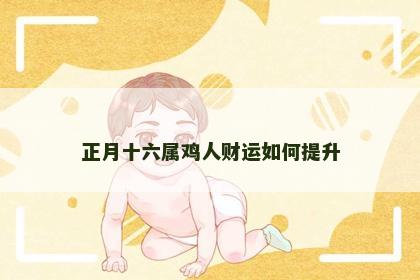 正月十六属鸡人财运如何提升