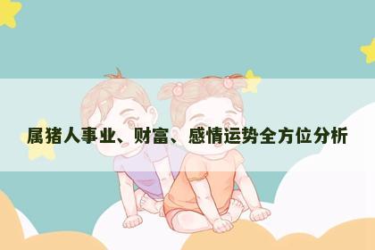 属猪人事业、财富、感情运势全方位分析