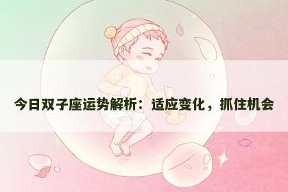 今日双子座运势解析：适应变化，抓住机会