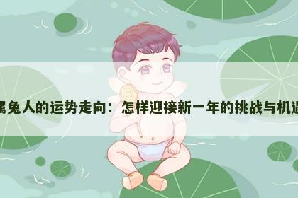 属兔人的运势走向：怎样迎接新一年的挑战与机遇