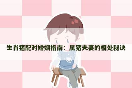 生肖猪配对婚姻指南：属猪夫妻的相处秘诀