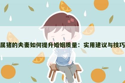 属猪的夫妻如何提升婚姻质量：实用建议与技巧