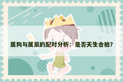 属狗与属鼠的配对分析：是否天生合拍？