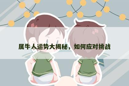 属牛人运势大揭秘，如何应对挑战